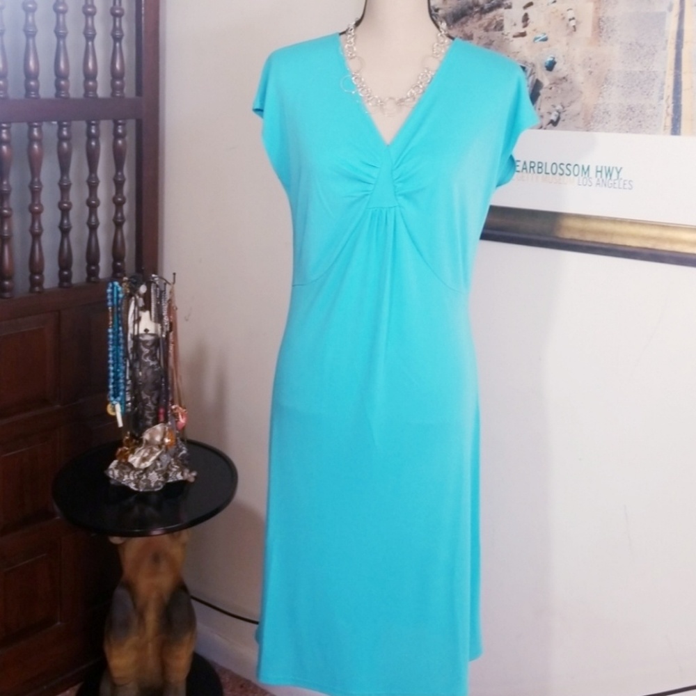 Casual Living blue V neck dress. Size M